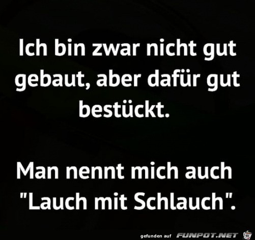 Lauch mit Schlauch