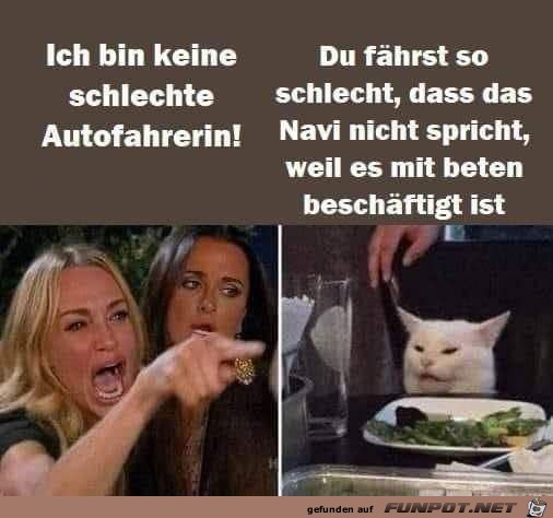 Schlechte Autofahrerin