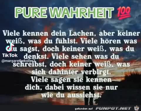 Pure Wahrheit