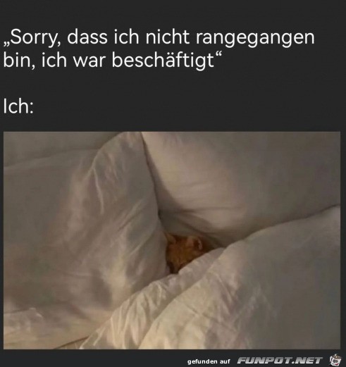 Ich war beschftigt