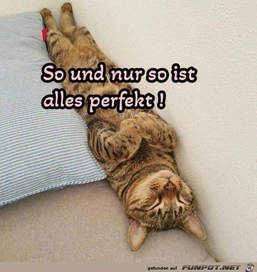 So ist alles perfekt