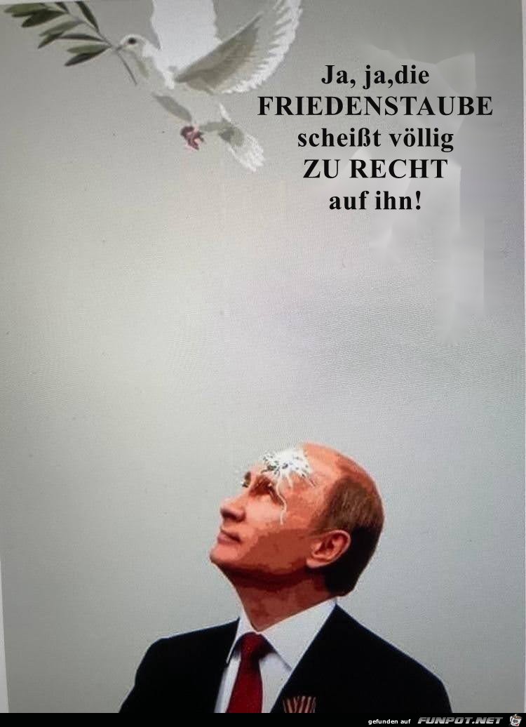 Die Friedenstaube wei Bescheid!