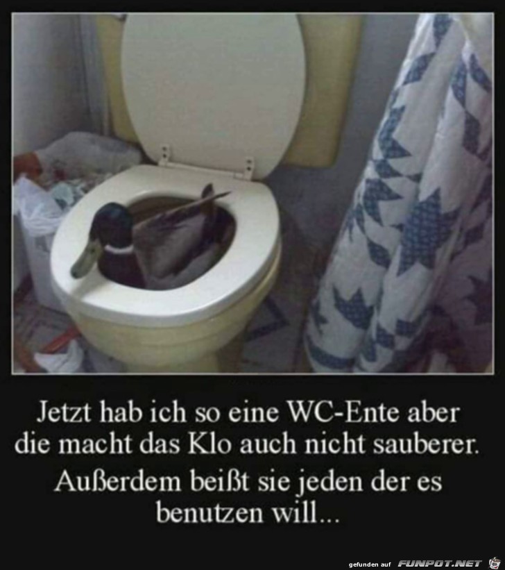 WC-Ente