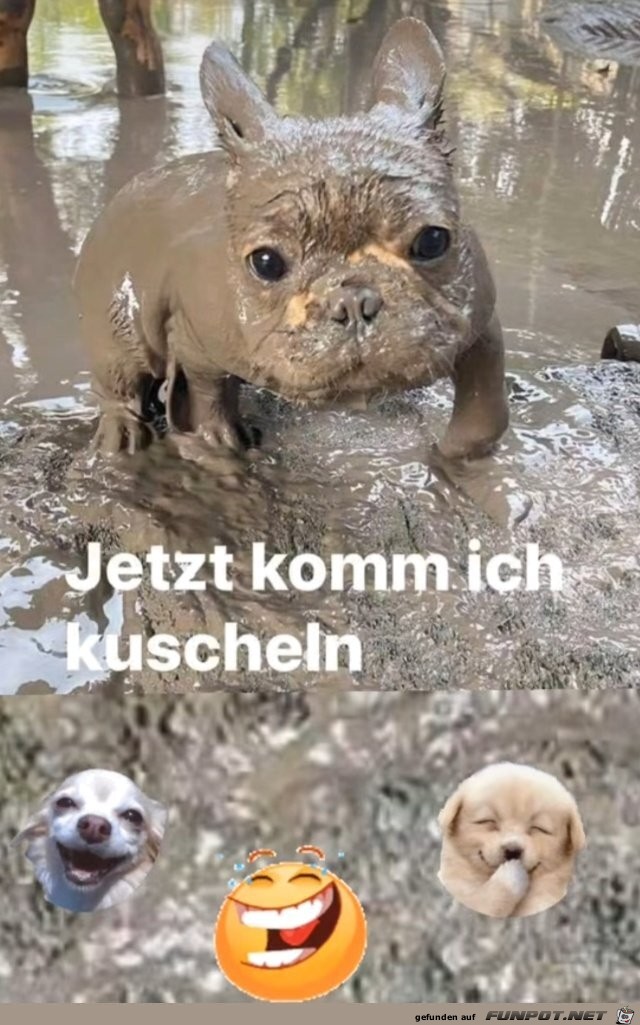 Kuscheln