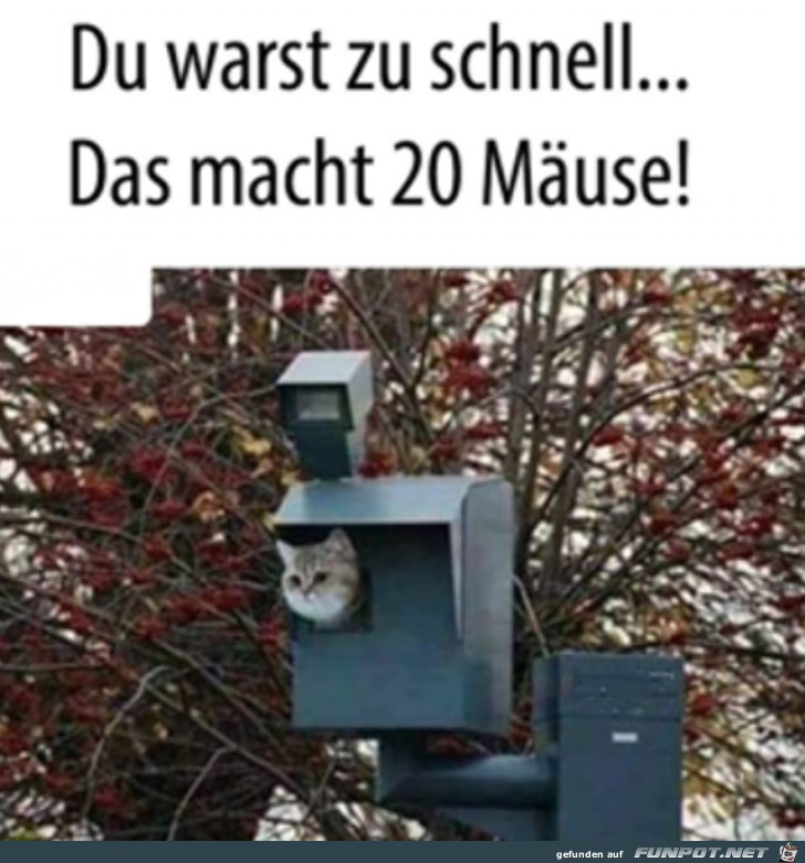 Zu schnell unterwegs