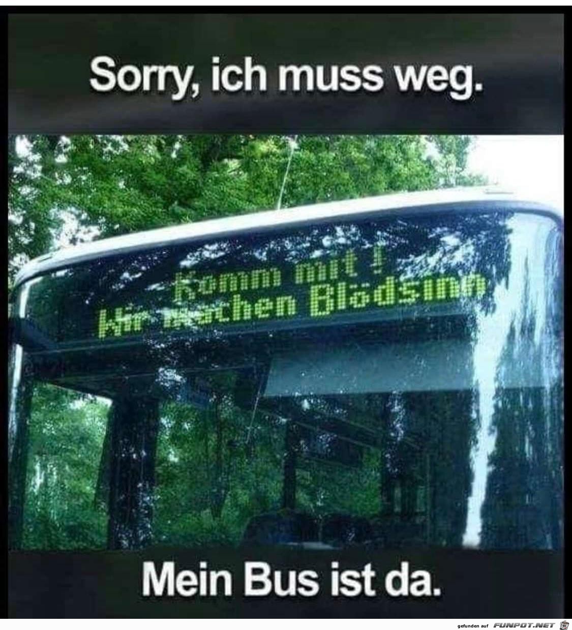 Mein Bus