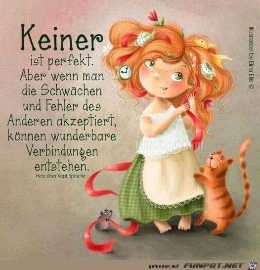 Keiner ist perfekt