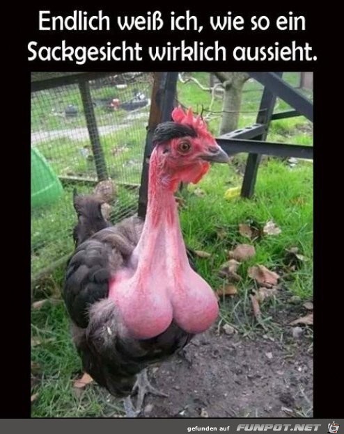 Sackgesicht