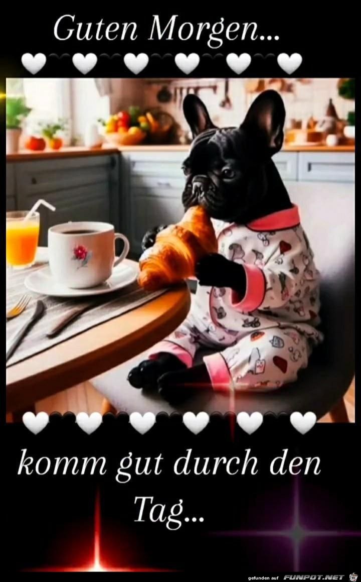 Guten Morgen