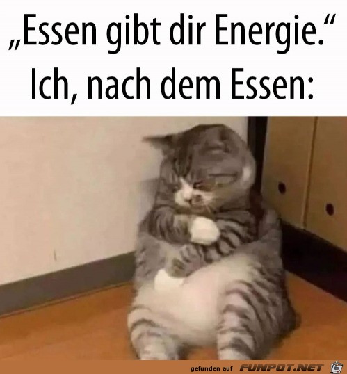 Essen gibt Energie