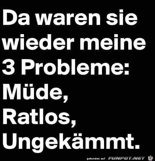 3 Probleme