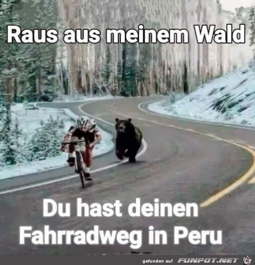 Raus aus meinem Wald