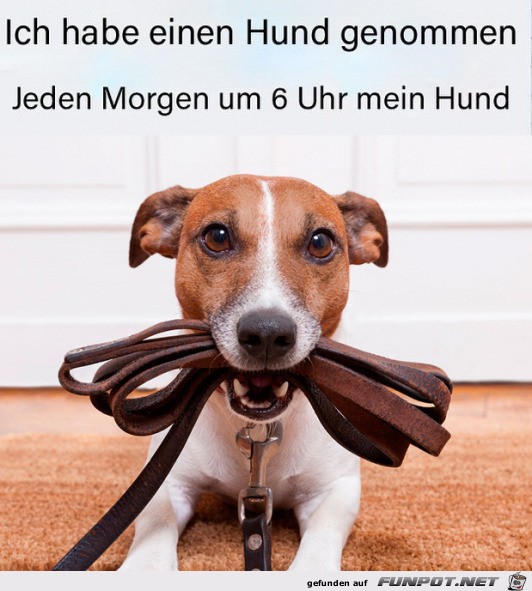 Hund will Gassi gehen