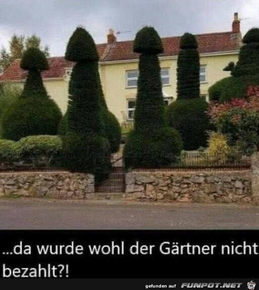 Grtner nicht bezahlt