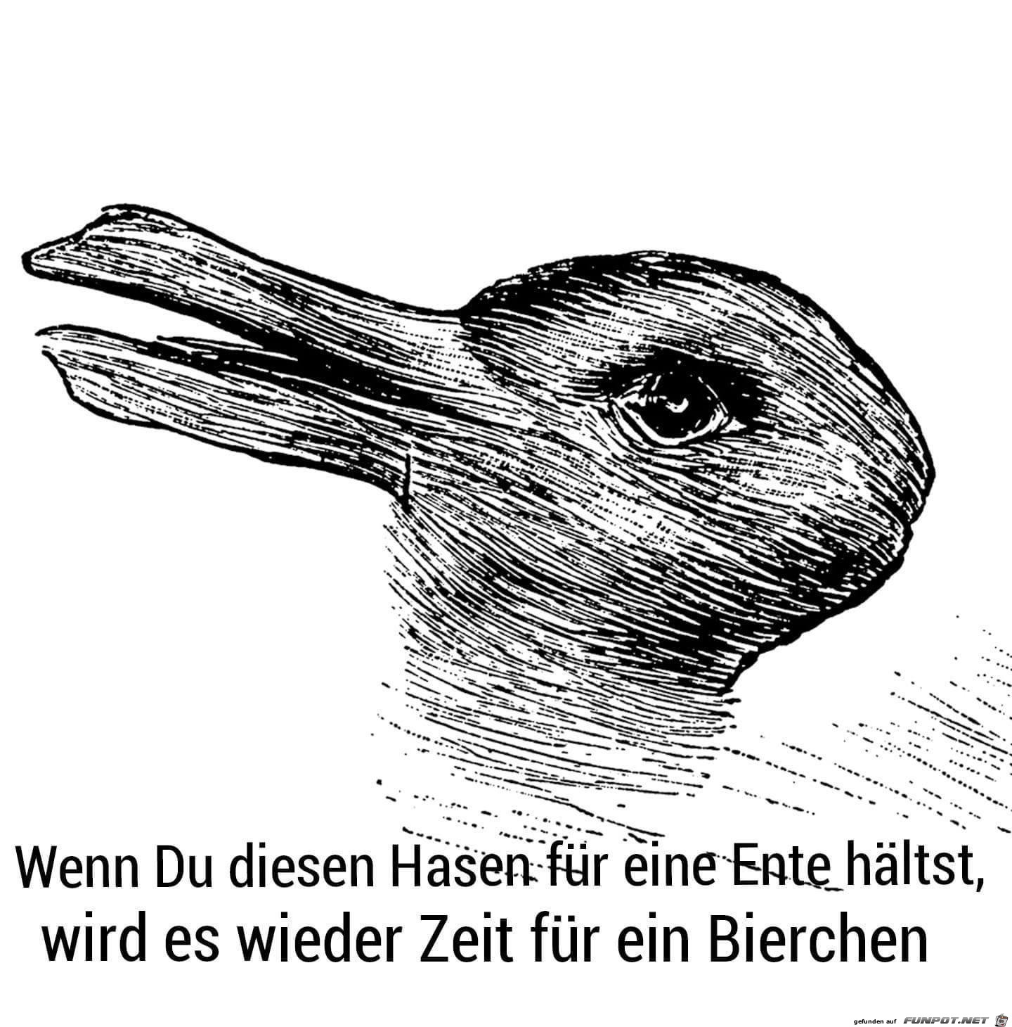 Hase und Ente