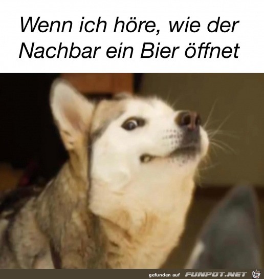 Ich habs gehrt