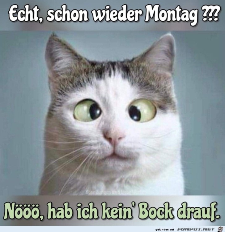 Schon wieder Montag