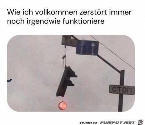 Zerstrt aber funktionsfhig