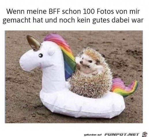 Schon so viele Fotos gemacht