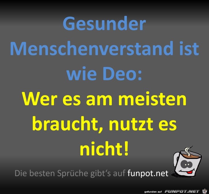 Gesunder Menschenverstand