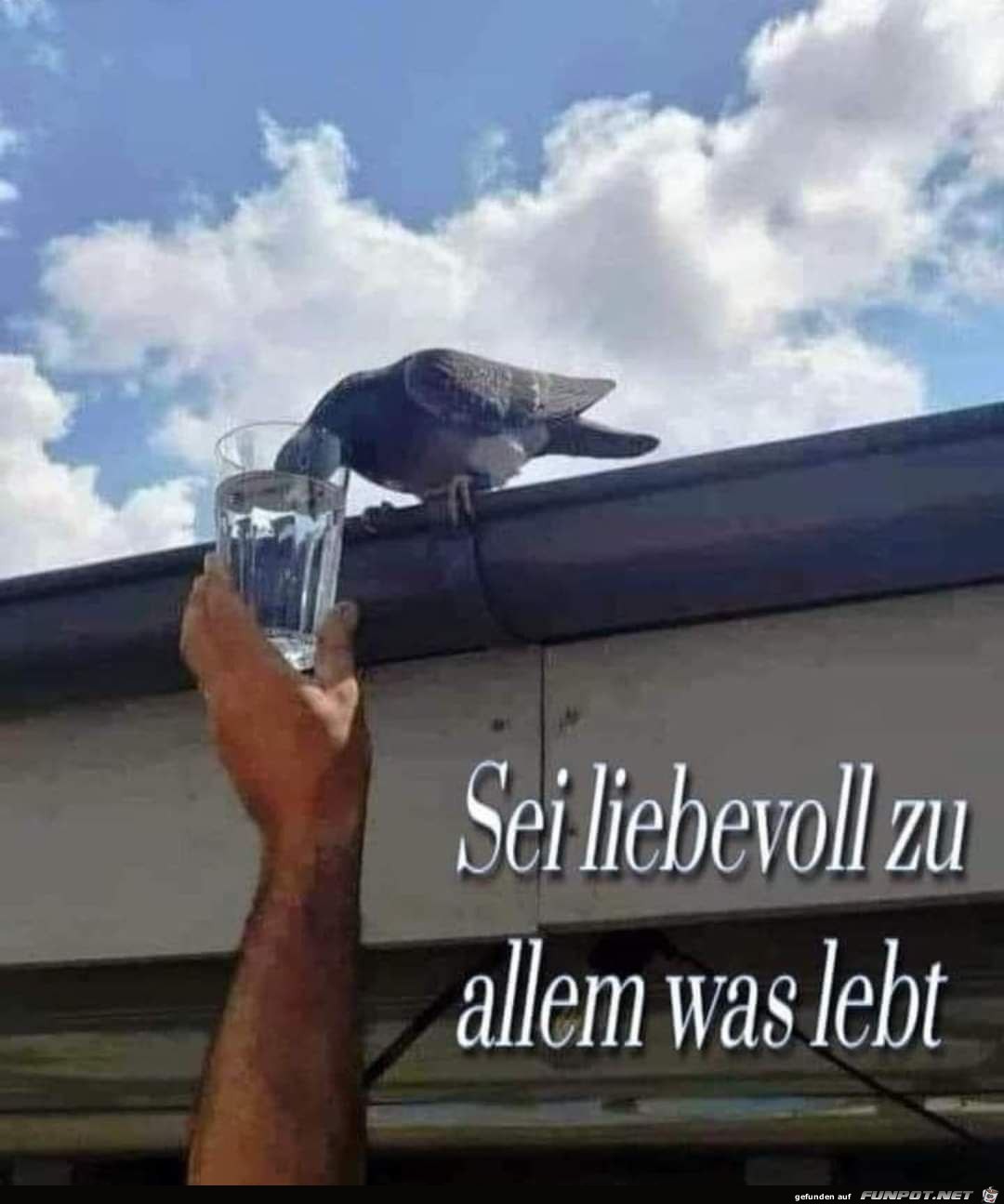 Sei liebevoll