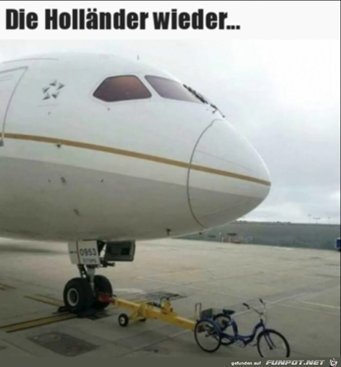 Die Hollnder