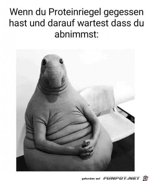 Da kannst du lange warten