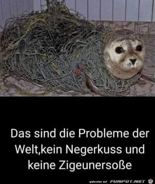 Das sind die Probleme