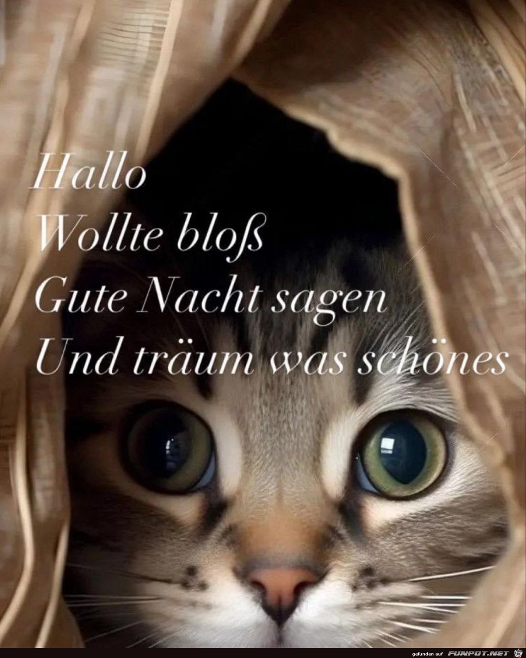 Gute Nacht