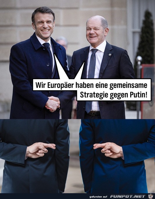 Gemeinsame Strategie