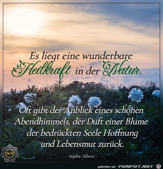 Es liegt eine wunderbare Heilkraft in der Natur