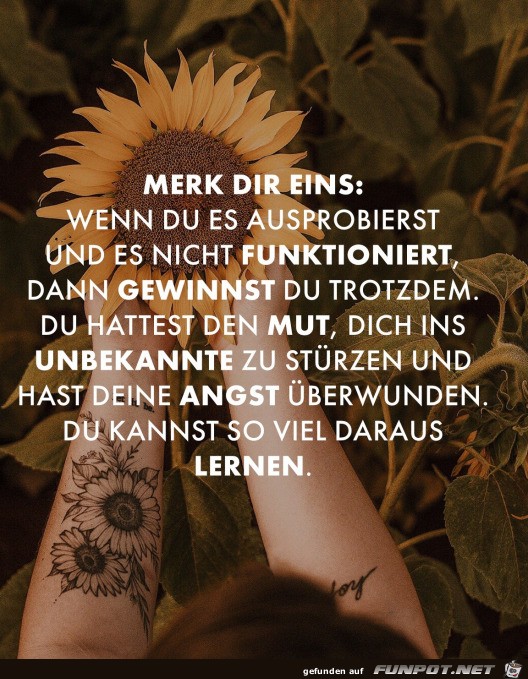 Merk dir eins