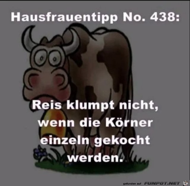 Hausfrauentip Hausfrauentip