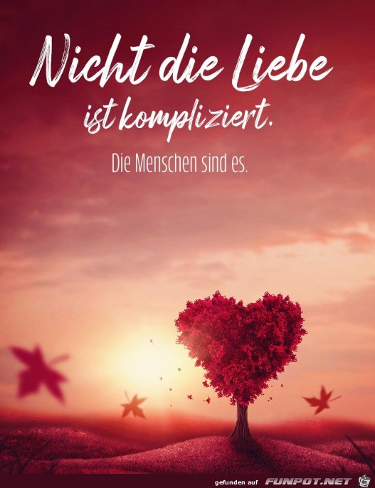 Nicht die Liebe ist kompliziert