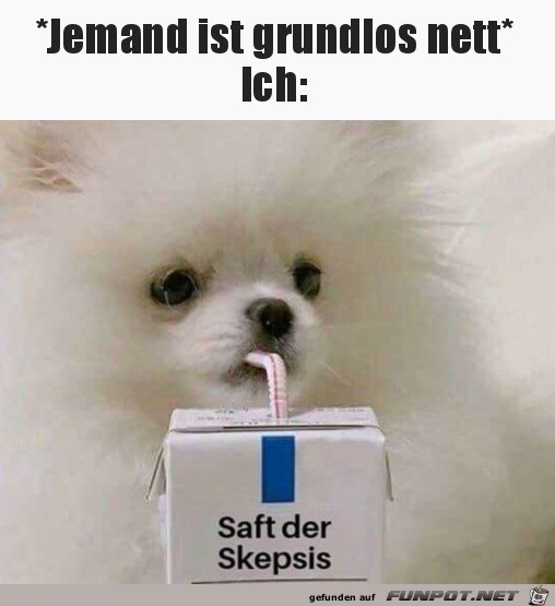 Grundlos nett