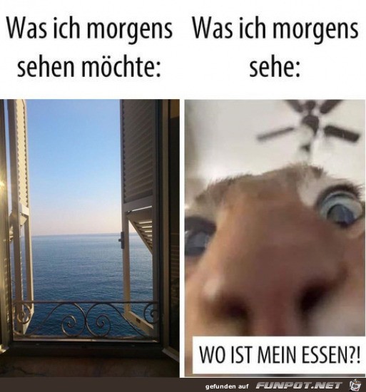 Was ich morgens sehe