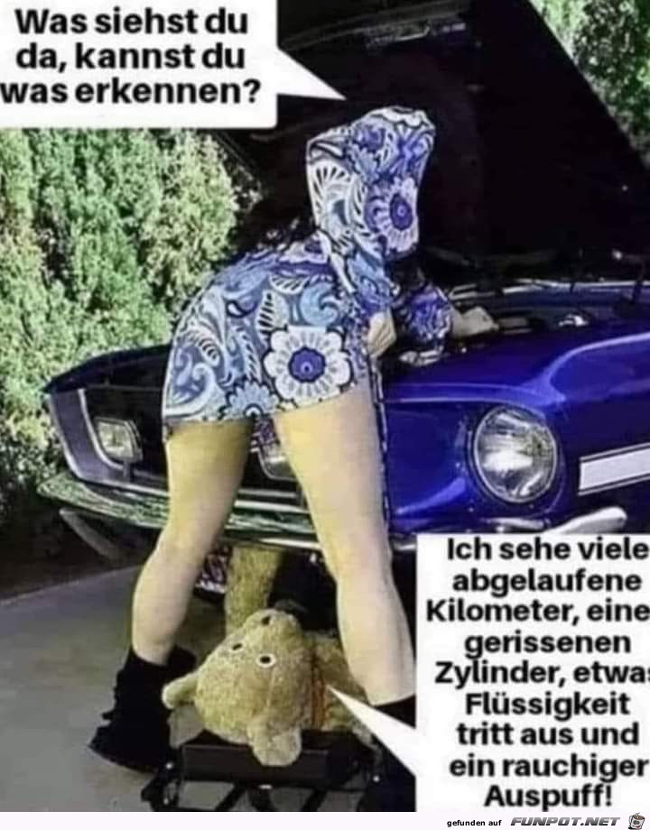 Kannst du was erkennen?