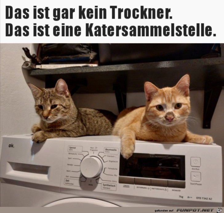 Katersammelstelle