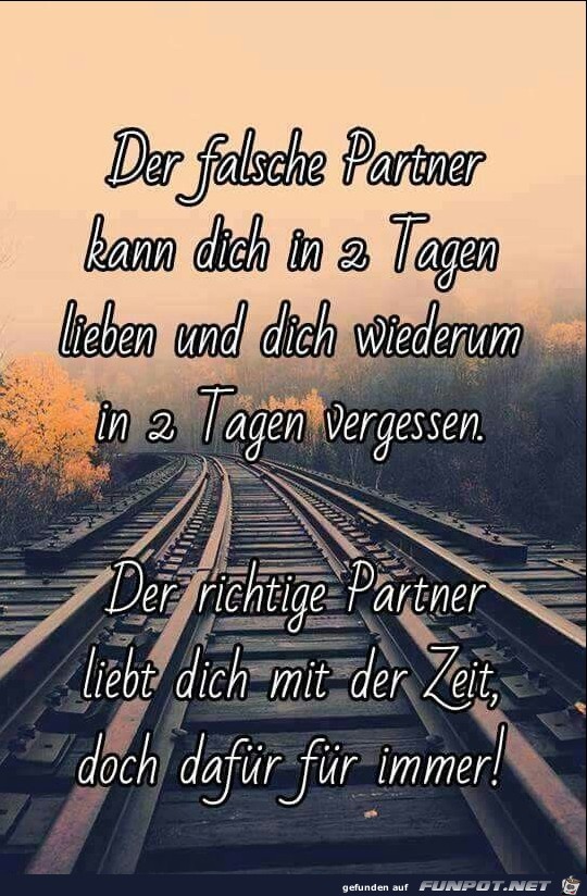 Der falsche Partner