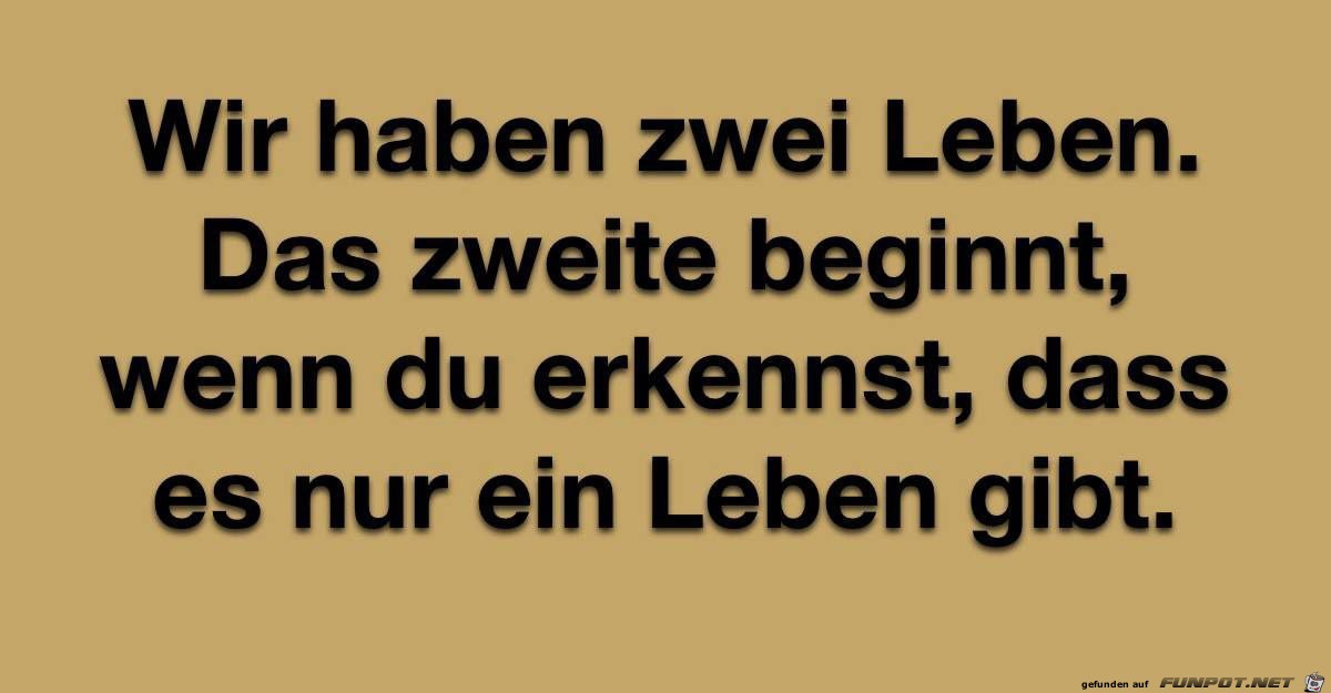 Zwei Leben