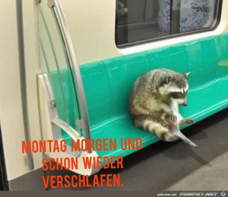 Montag Morgen