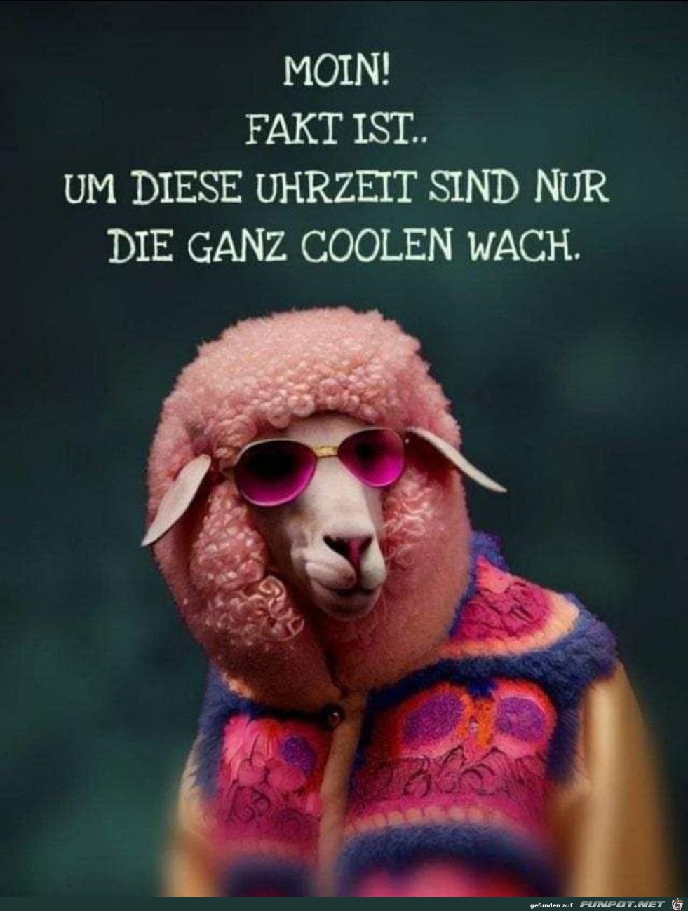 Die ganz Coolen