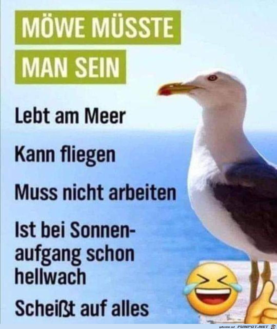 Mwe msste man sein