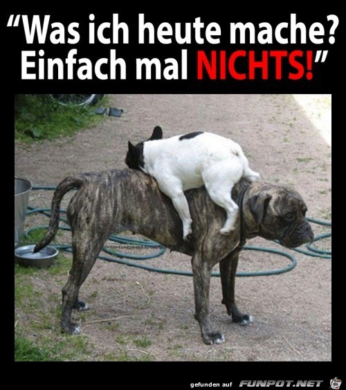 Nichts