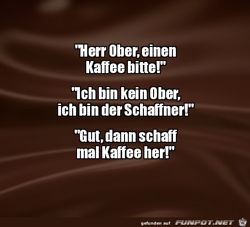 Der Schaffner