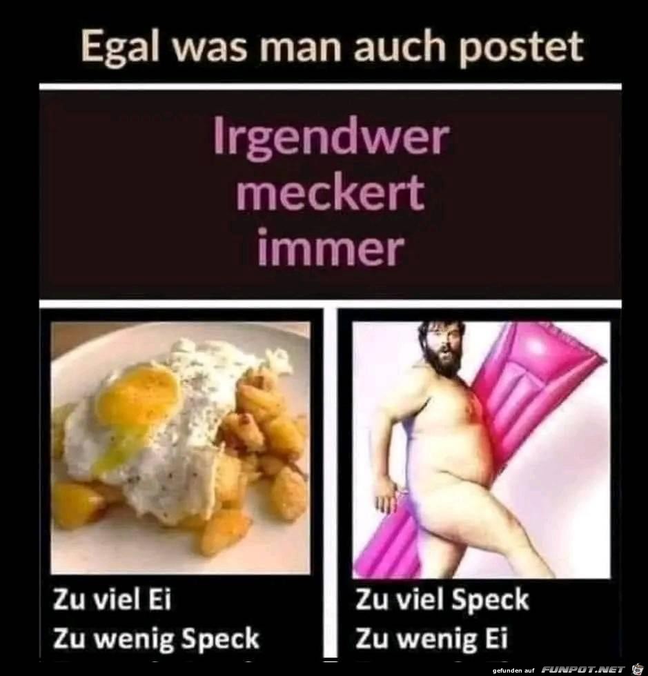 Irgendeiner meckert immer