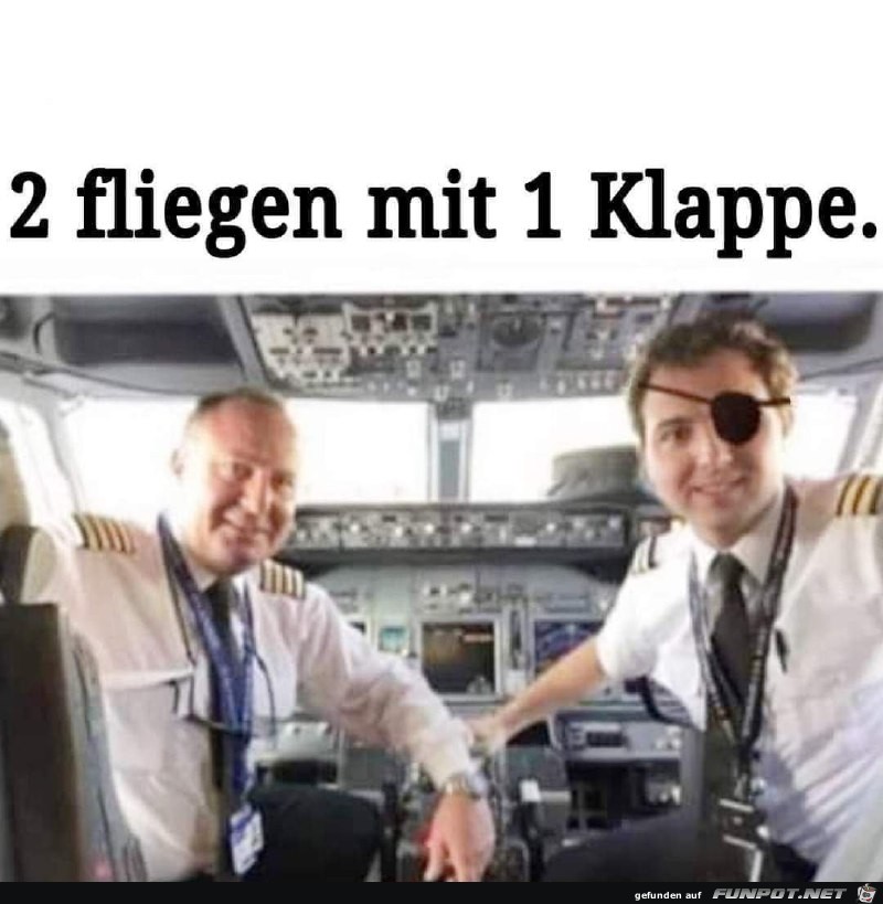 Zwei fliegen mit einer Klappe