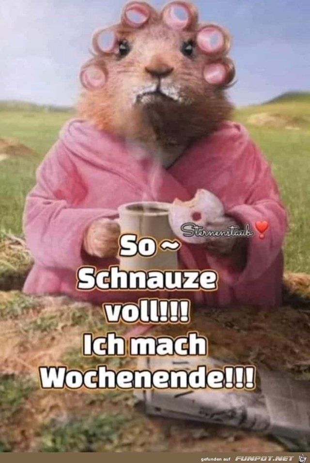 Schnauze voll