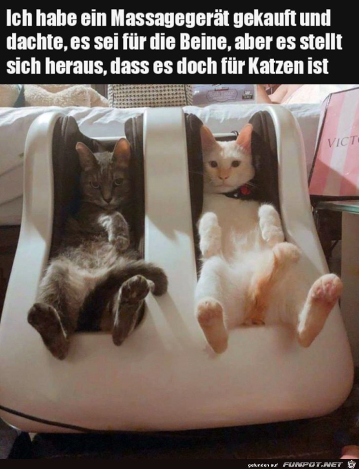 Ist wohl fr die Katzen