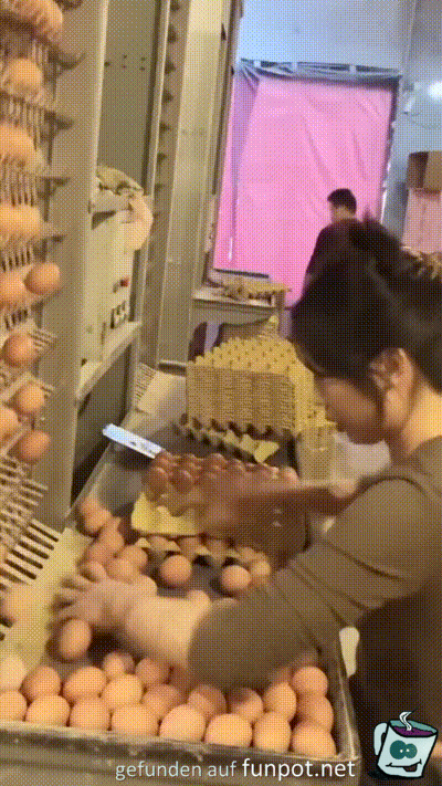 Eier sortieren
